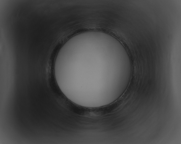 X0000101170739200806270753