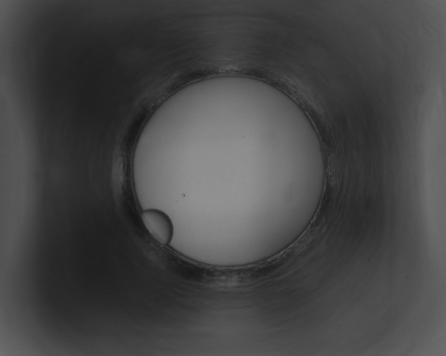 X0000101170740200806270753