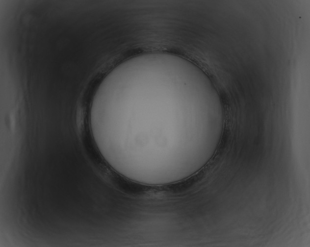 X0000101170742200806270753