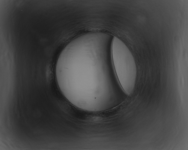 X0000101170743200806270753