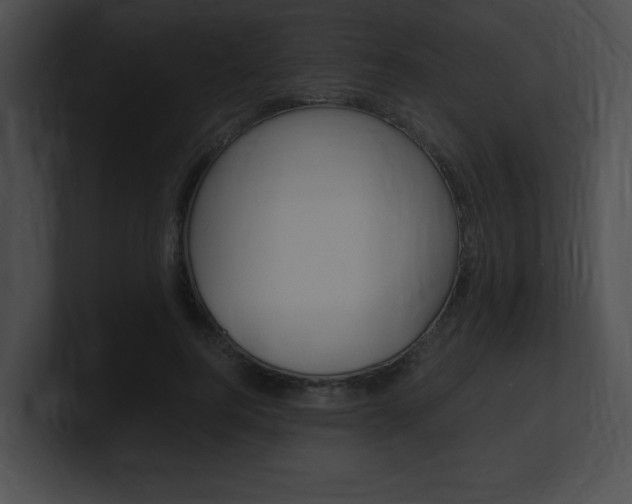 X0000101170744200806270753
