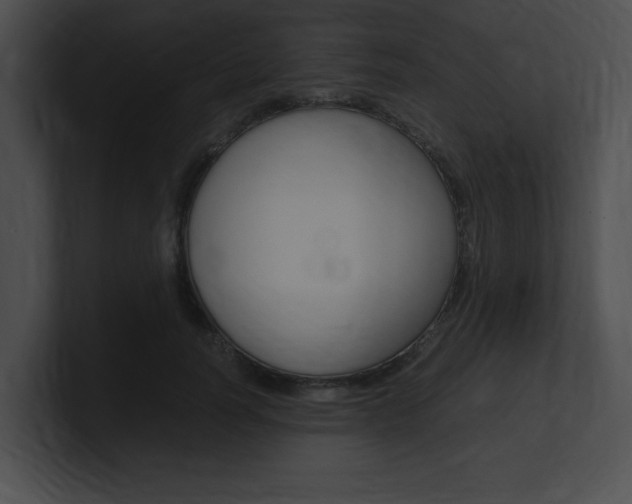 X0000101170746200806270753