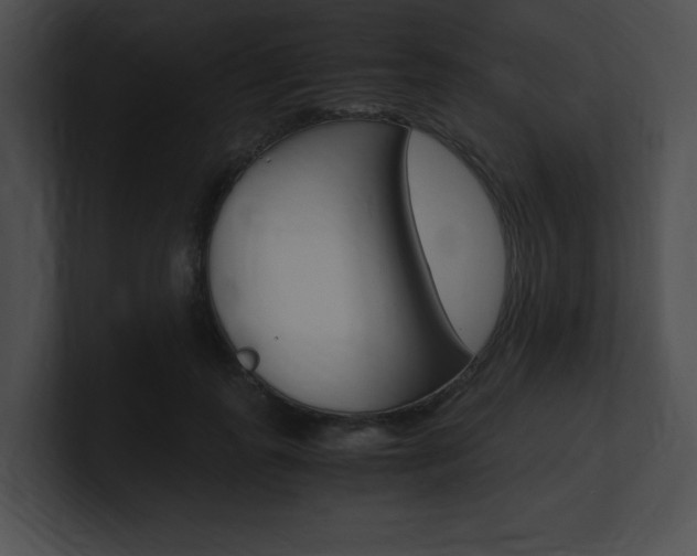 X0000101170747200806270753