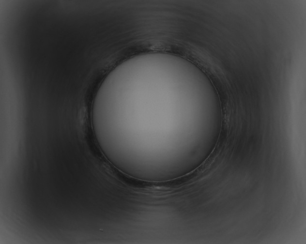 X0000101170748200806270753