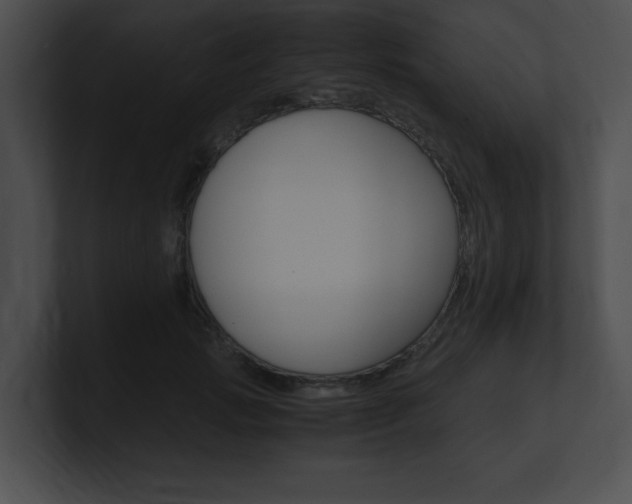 X0000101170749200806270753