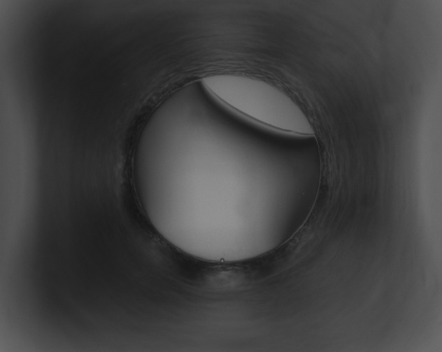 X0000101170750200806270753