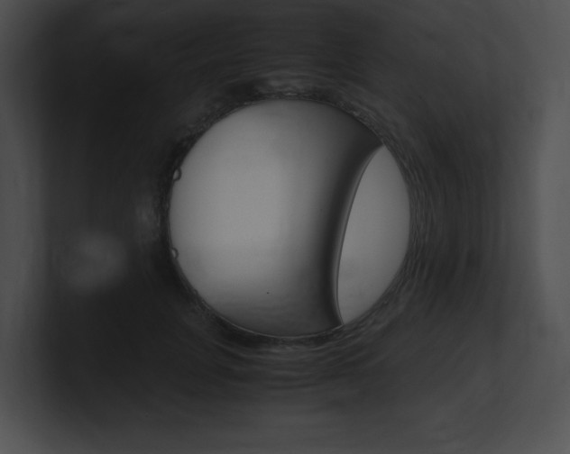 X0000101170751200806270753