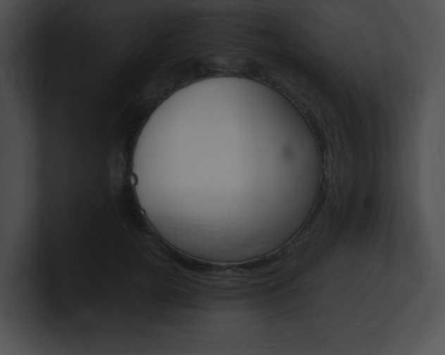 X0000101170752200806270753