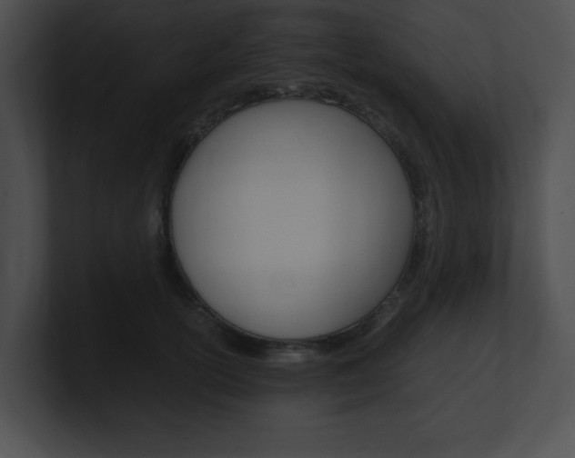 X0000101170754200806270753