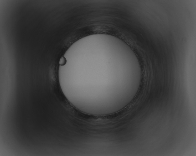 X0000101170755200806270753