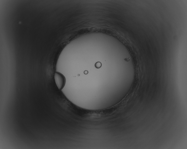 X0000101170756200806270753