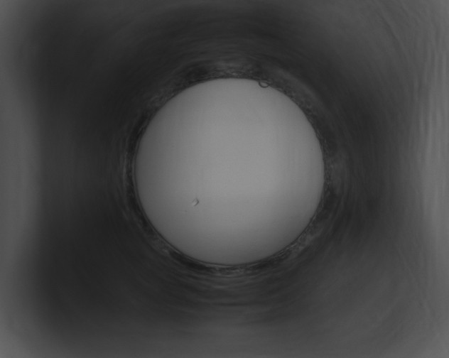 X0000101170757200806270753