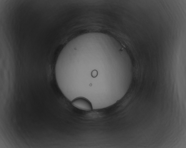 X0000101170759200806270753