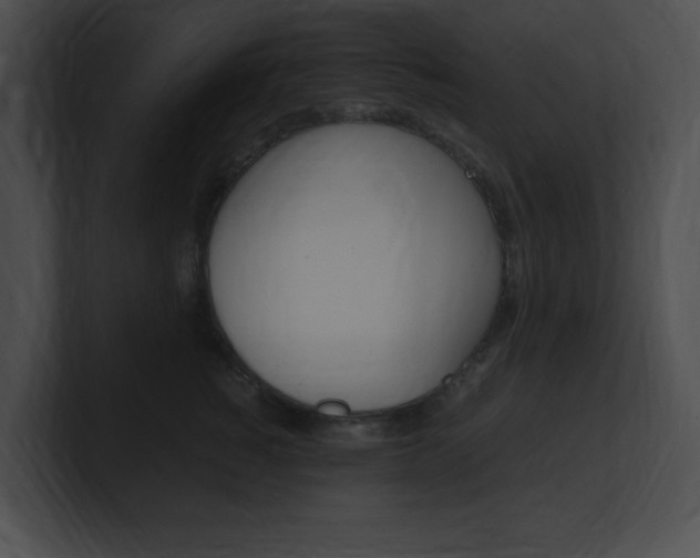 X0000101170760200806270753