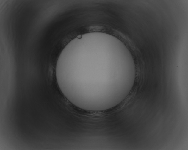 X0000101170761200806270753