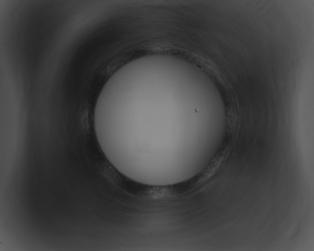 X0000101170762200806270753