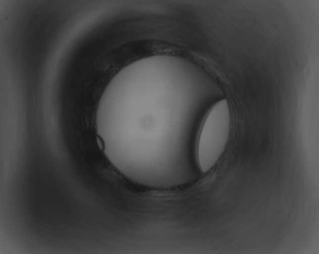 X0000101170763200806270753