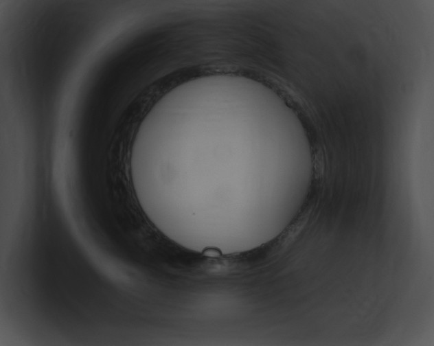 X0000101170764200806270753