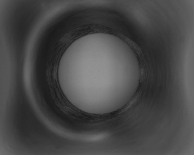 X0000101170765200806270753