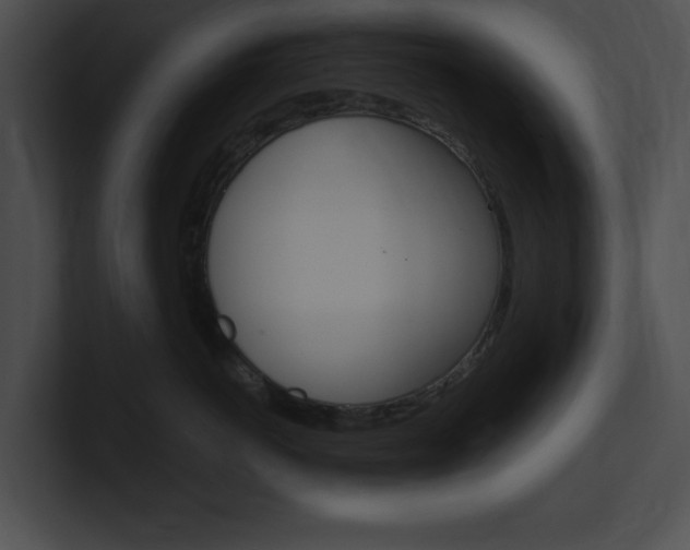 X0000101170766200806270753