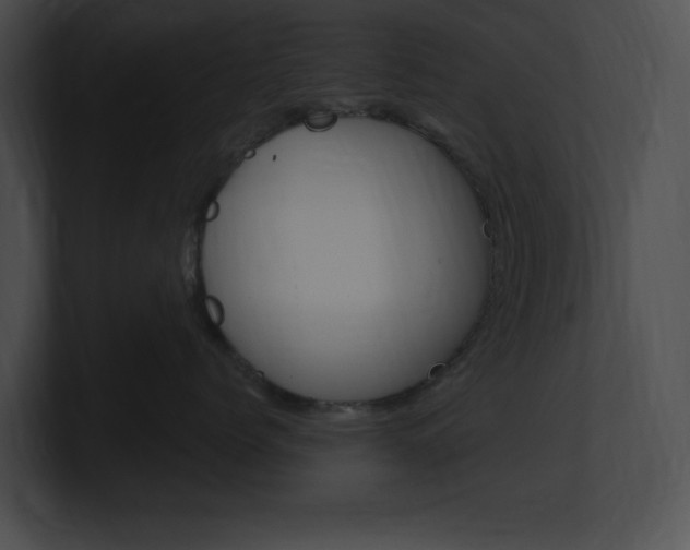 X0000101170768200806270753
