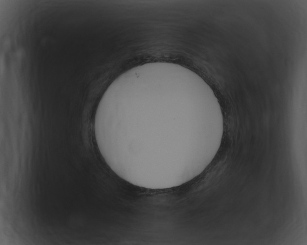 X0000101170769200806270753