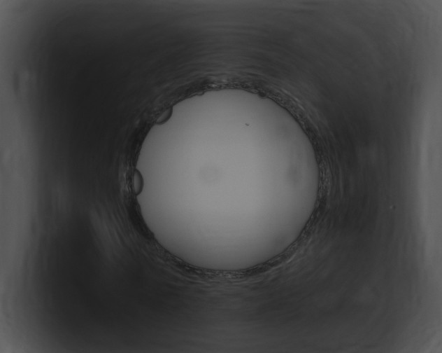 X0000101170770200806270753