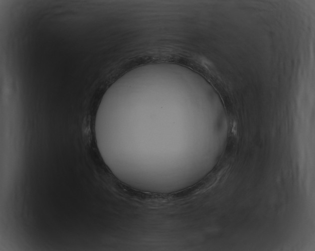 X0000101170771200806270753