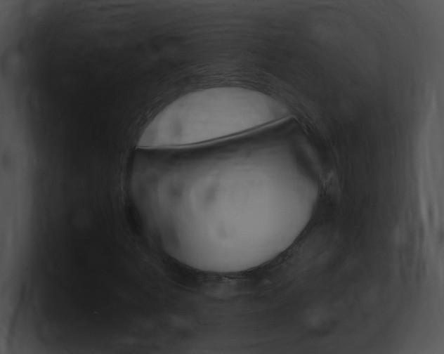 X0000101170772200806270752