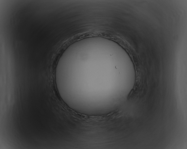X0000101170773200806270752