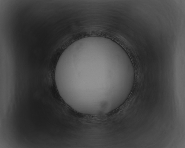 X0000101170774200806270752