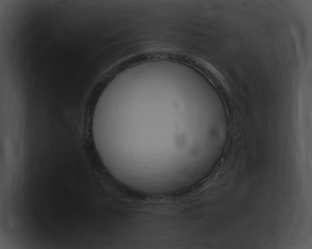 X0000101170775200806270752