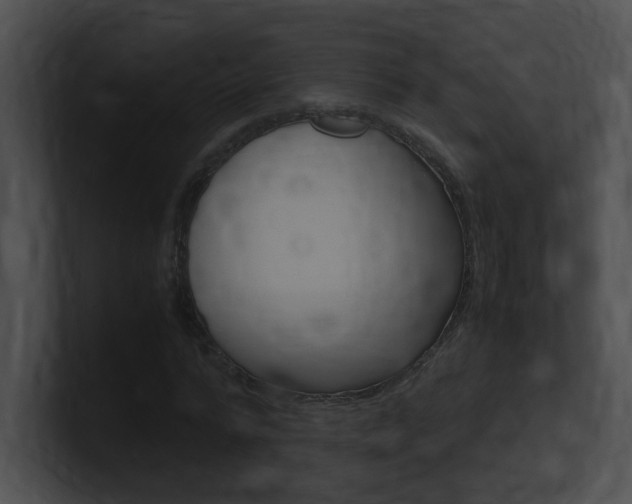 X0000101170776200806270752