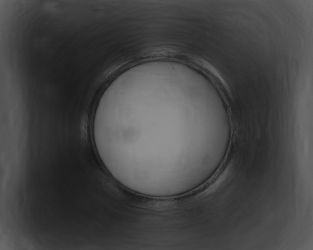 X0000101170778200806270752