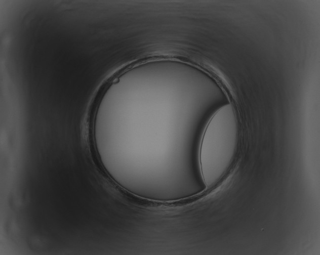 X0000101170779200806270752
