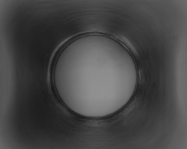 X0000101170780200806270752