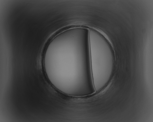 X0000101170783200806270752