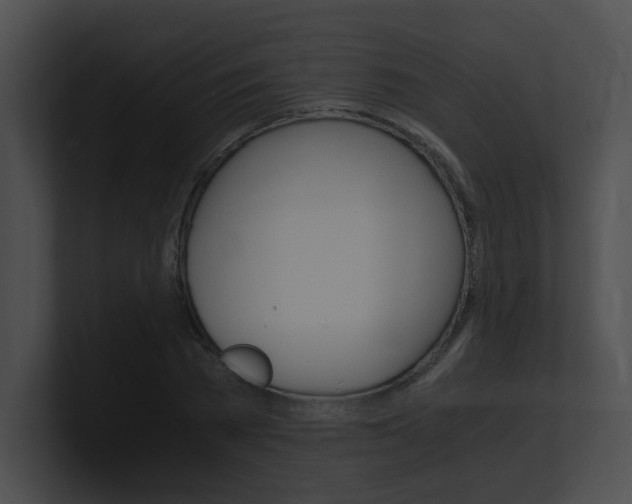 X0000101170785200806270752