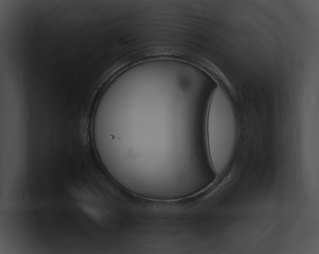 X0000101170786200806270752