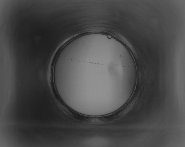 X0000101170787200806270752