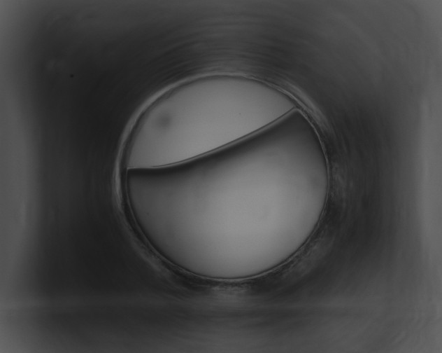 X0000101170788200806270752