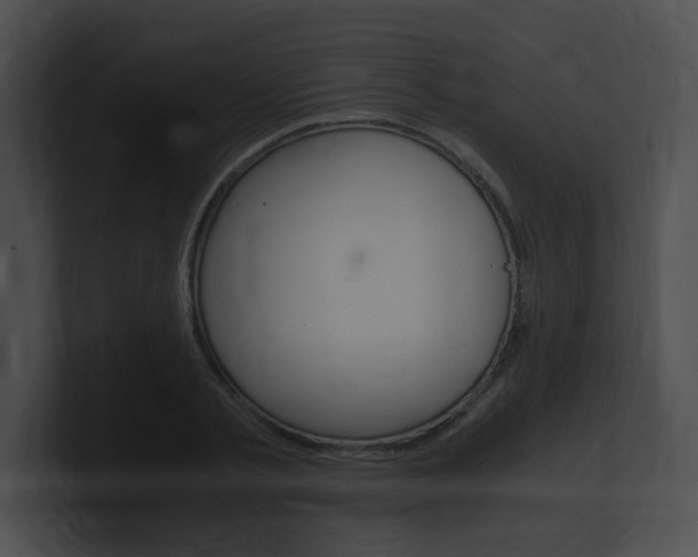 X0000101170789200806270752