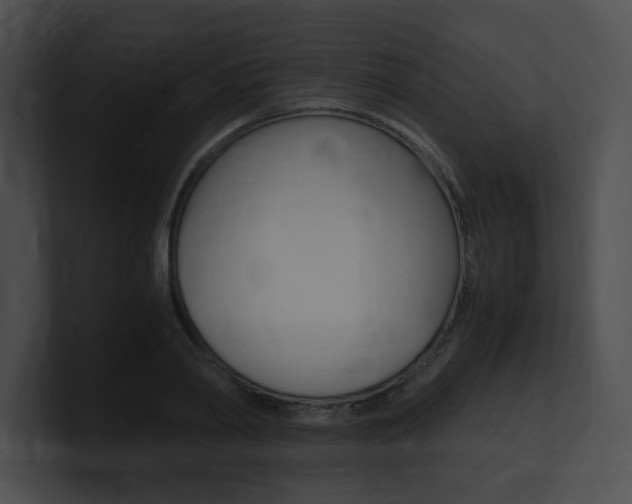 X0000101170790200806270752