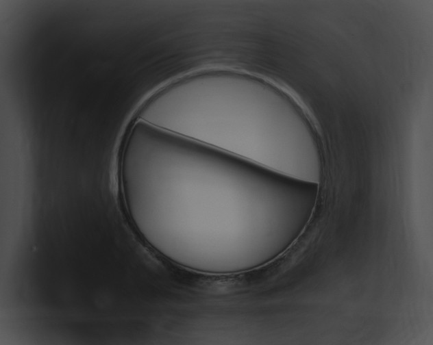 X0000101170791200806270752