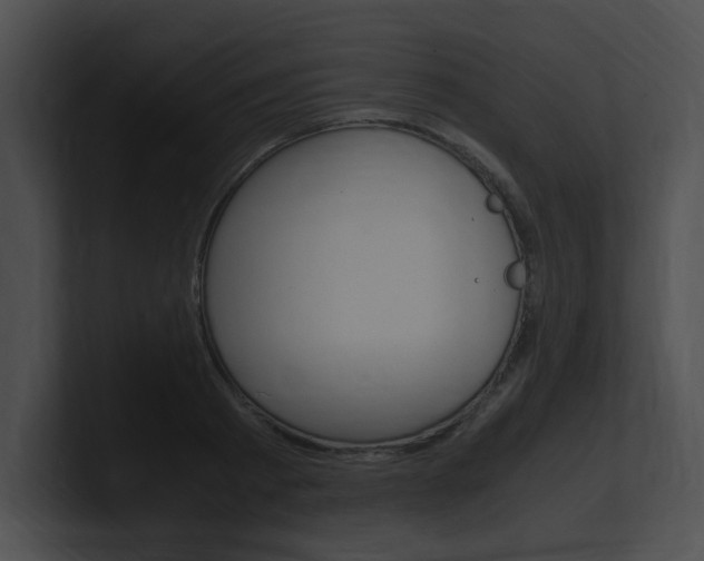X0000101170793200806270752