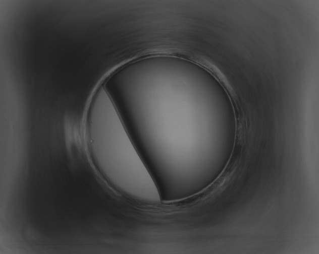 X0000101170795200806270752