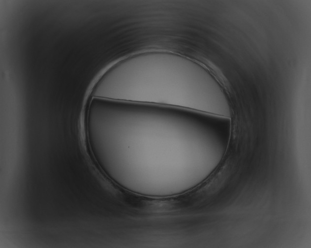 X0000101170796200806270752