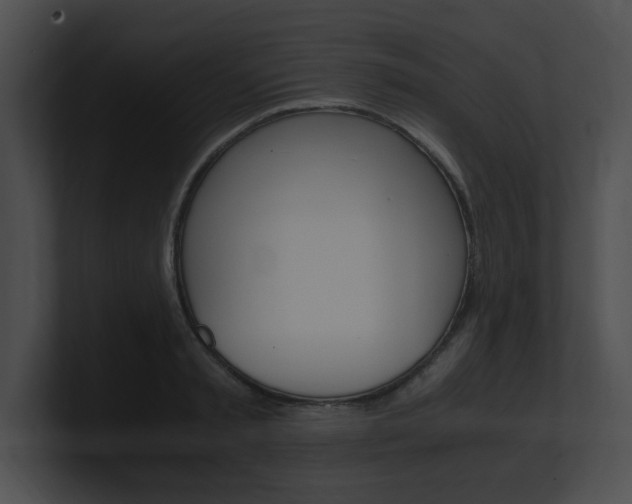 X0000101170797200806270752
