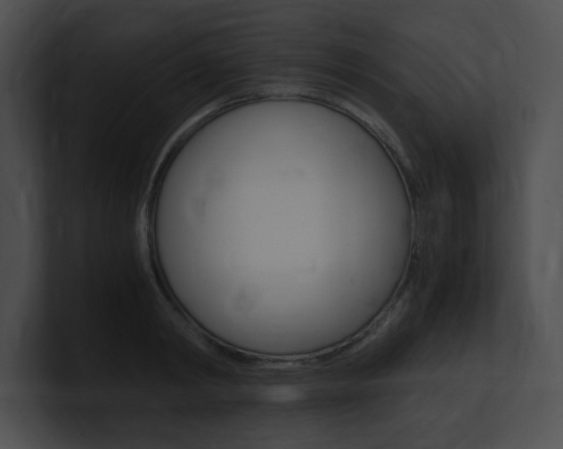 X0000101170798200806270752