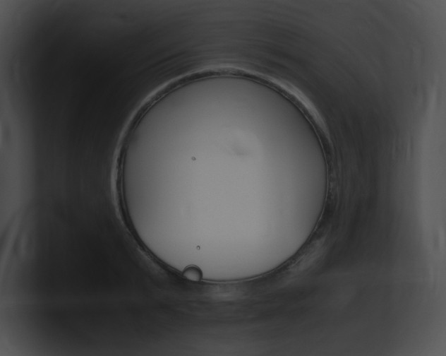 X0000101170799200806270752
